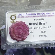 Hoa hồng đá quý ruby G61624