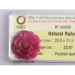 Hoa mẫu đơn đá ruby RBH23.97