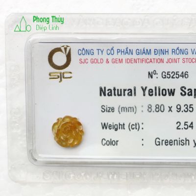 Hoa hồng sapphire vàng SPV2.54-G52546