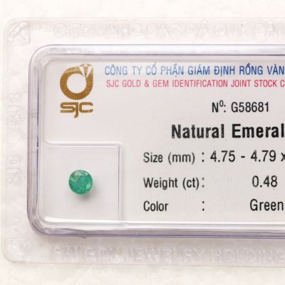 Đá emerald ngọc lục bảo NLB0.48