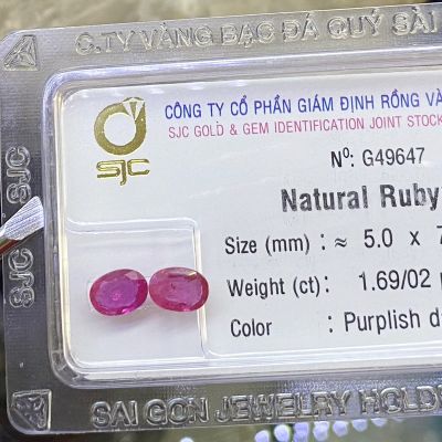 Bông tai đá quý ruby RBB1.69