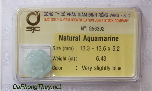 Hoa mau don aquamarine